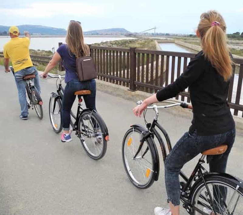 Billet Cagliari : Excursion à vélo dans l'oasis de Flamingo