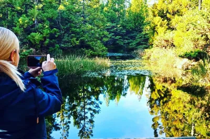 Île de Terceira : Sentier de randonnée Mistérios Negros