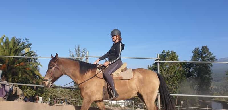 Leçon d'équitation pour débutants 1 heure, beaucoup d'informations