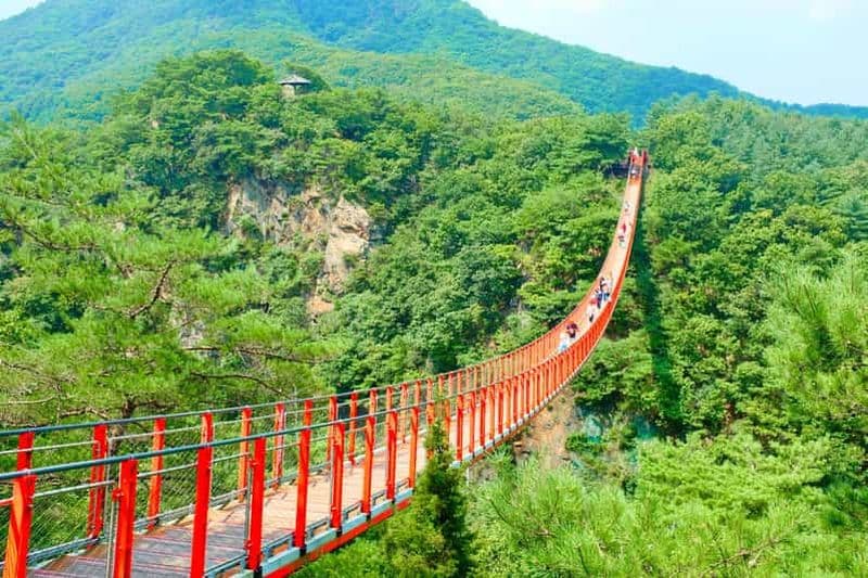Séoul : visite du troisième tunnel et du pont suspendu de la DMZ