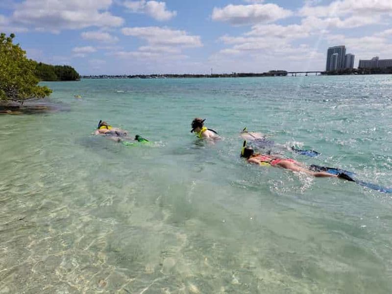 Miami : Plongée en apnée sur l'île en SUP ou en kayak pour les débutants