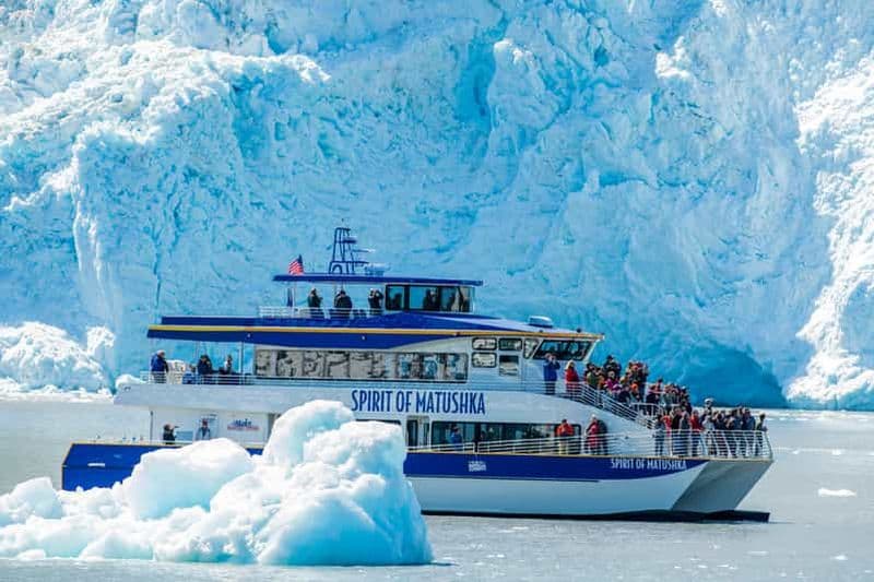 Seward : croisière en catamaran dans le parc national de Kenai Fjords avec déjeuner