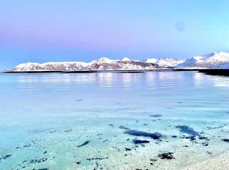 Billet Tromsø : excursion dans les fjords et les îles Sommarøy avec pique-nique au saumon