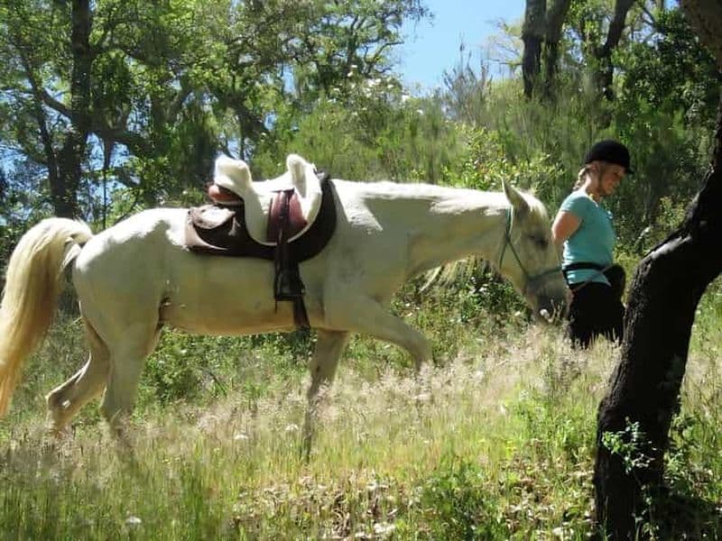 Randonnée à cheval dans la vallée d'Arrabida, deux heures