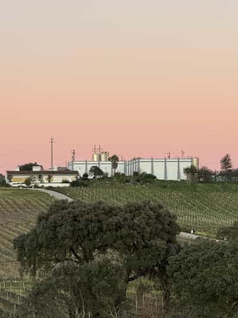 Estremoz, Alentejo, Portugal : Visite des vignobles et dégustation de vins