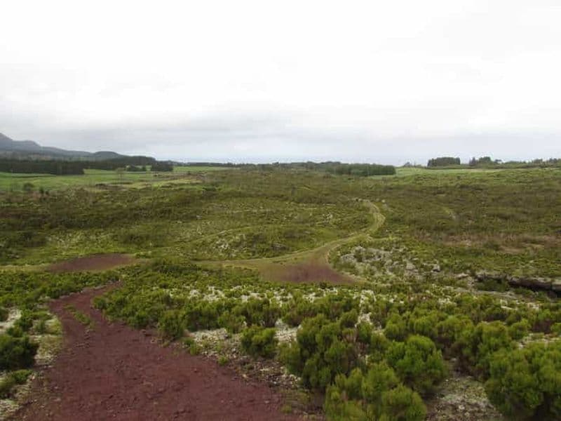 Depuis Angra : excursion d'une journée en Jeep sur l'île de Terceira