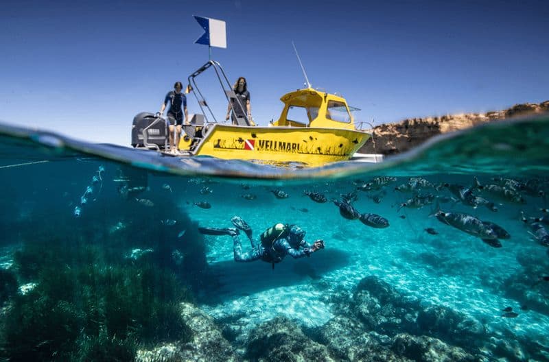 Formentera : expérience de baptême de plongée dans le parc naturel