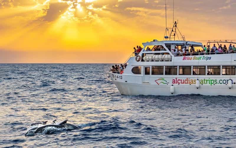 Port d'Alcudia : lever de soleil en mer et tour en bateau pour observer les dauphins