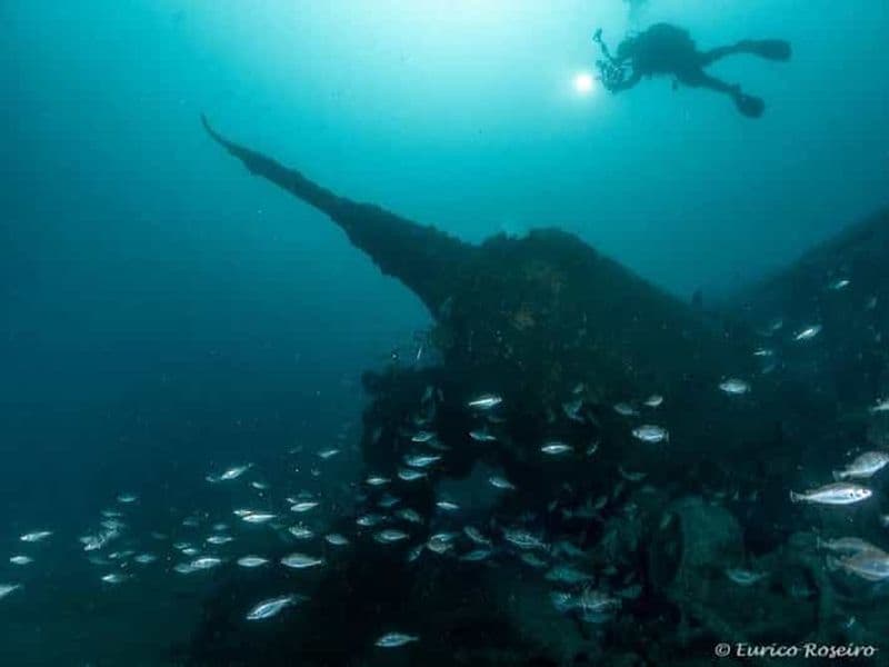 Plongez dans l'U-boot 1277 - la plongée la plus emblématique du Portugal