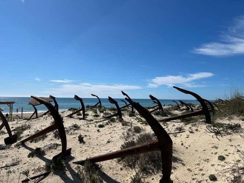 Visite de Tavira à Olhao aller retour en vélo