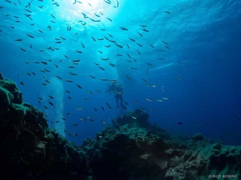 Double plongée sur l'île de Santa Maria - Açores