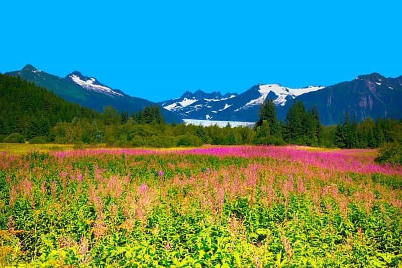 Juneau : Visite en bus des points forts de la ville