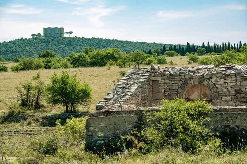Visite organisée de Bari à Castel del Monte