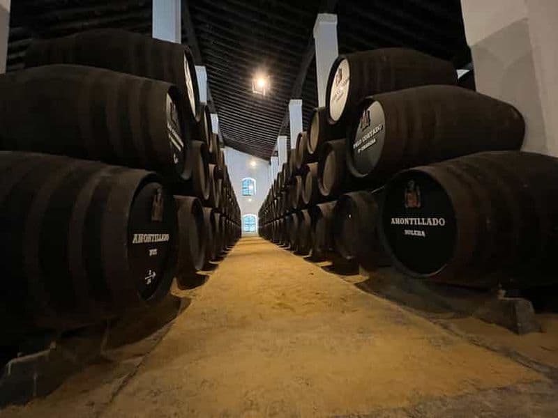 Billet Jerez : visite guidée d'un domaine viticole avec dégustation de vin