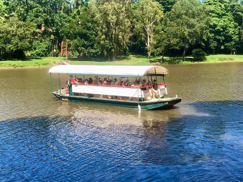 Billet Kuranda : excursion en bateau fluvial