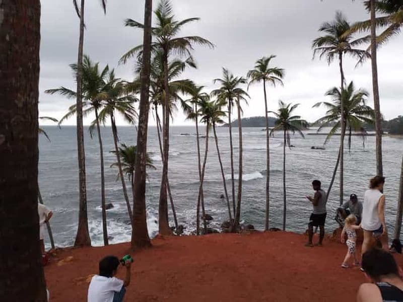 Journée d'observation des baleines à Mirissa