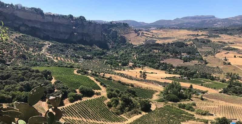 Depuis Marbella : visite de Ronda et des vignobles avec déjeuner