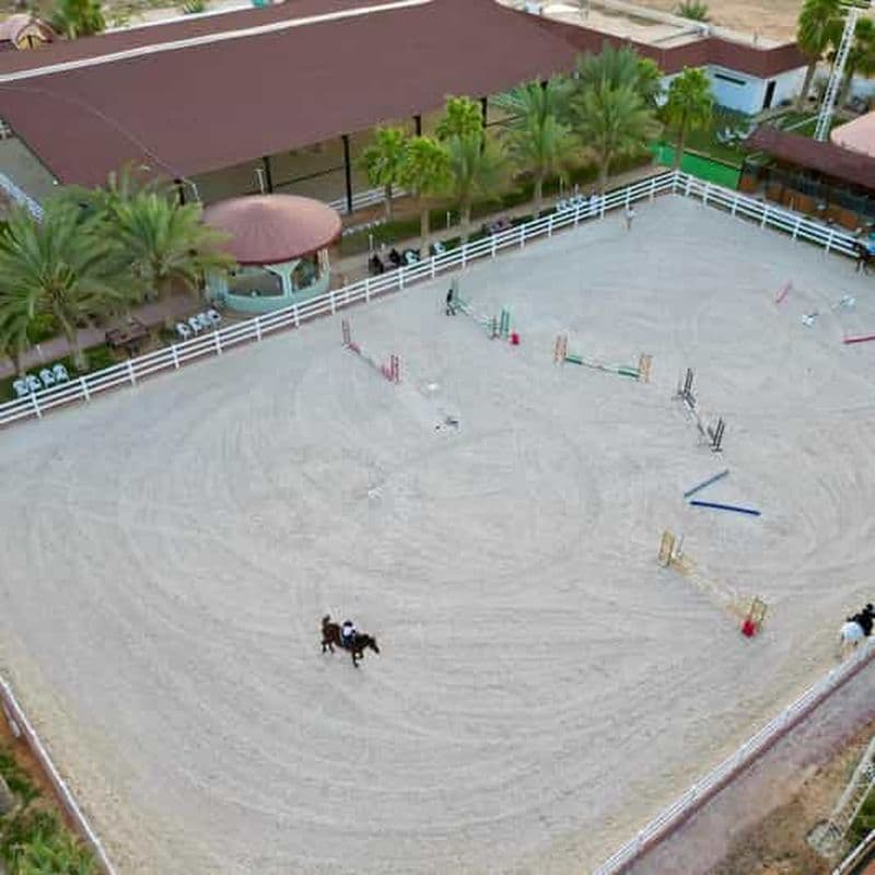 Riyad : Expérience d'équitation arabe