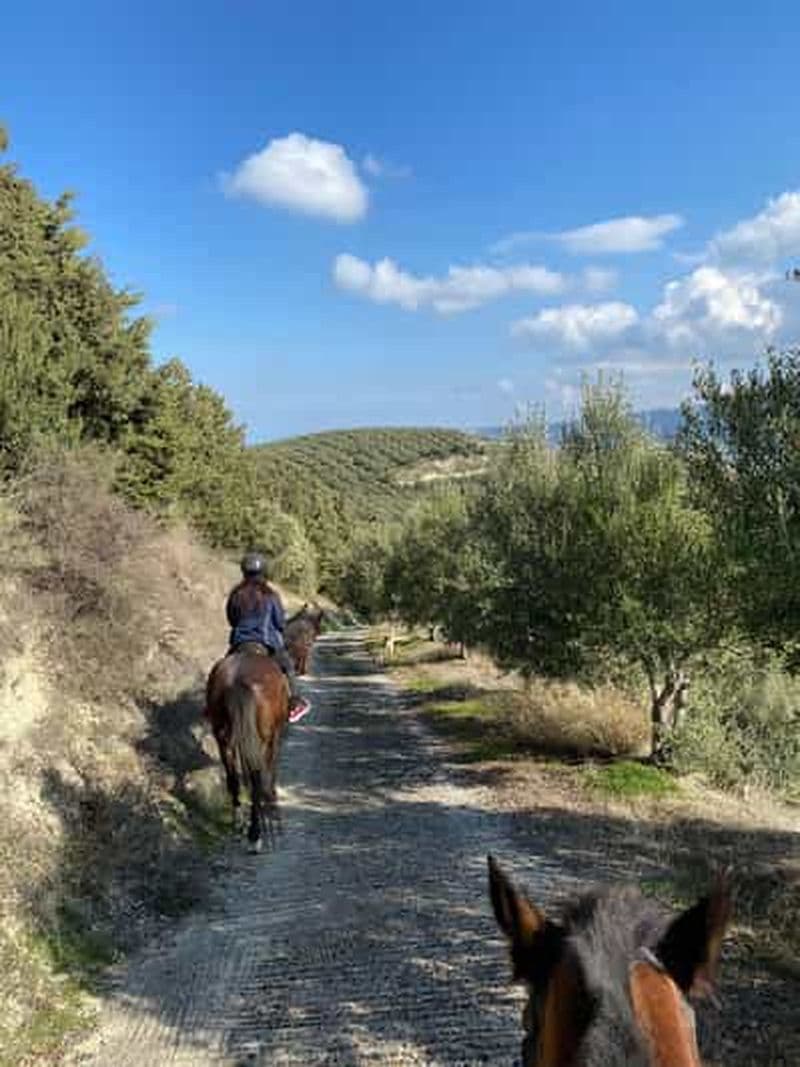 Héraklion - Finikia Randonnée équestre privée dans les montagnes au lever du soleil