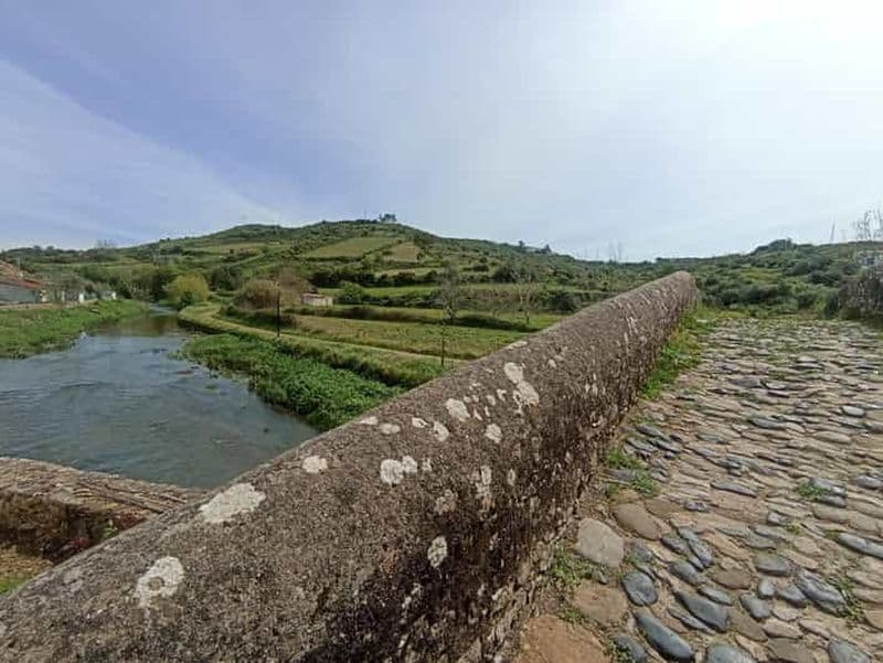 Au départ de Sintra, Mafra ou Ericeira : randonnée et circuit viticole