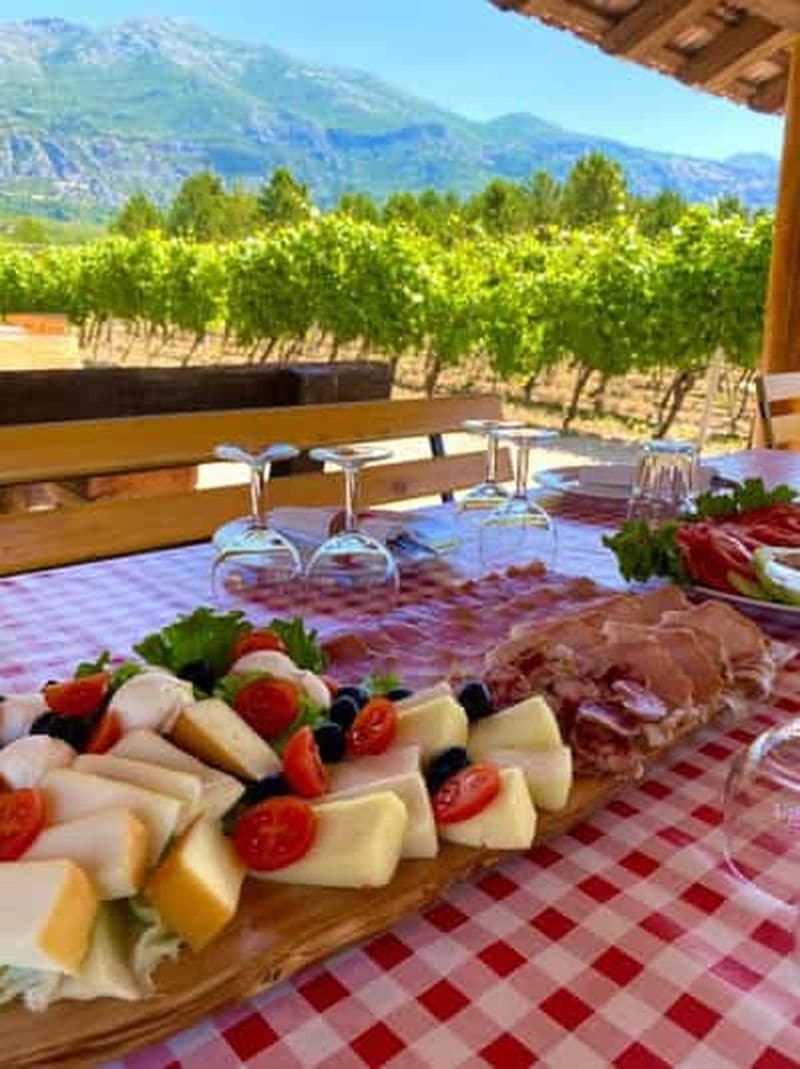 Depuis Dubrovnik : dégustation de vin et visite citadine de Cavtat