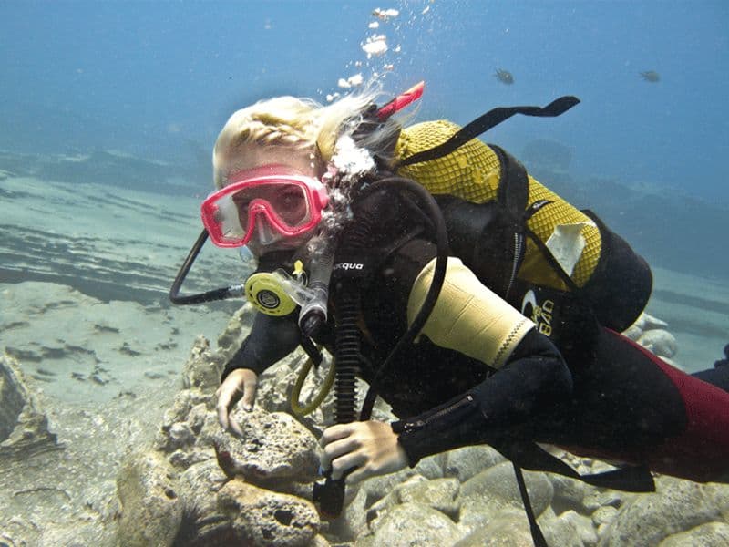 Tenerife : Découvrez l'aventure de la plongée sous-marine, PADI