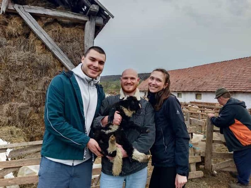 Au départ de Sibiu : villages, vie à la ferme et balade en calèche