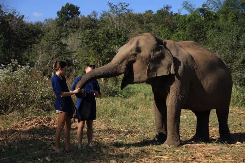 Billet Chiang Mai : randonnée au Doi Inthanon et sanctuaire des éléphants