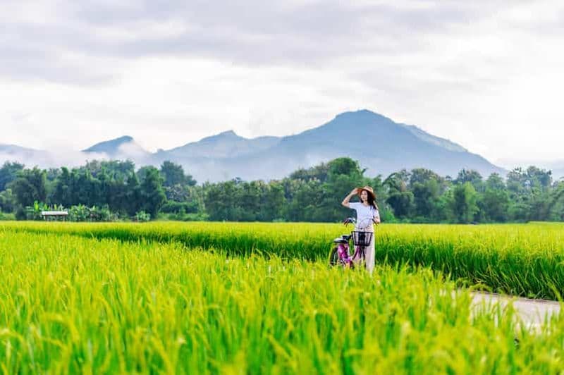 Billet Chiang Mai à vélo : visite guidée dans la campagne de Lanna