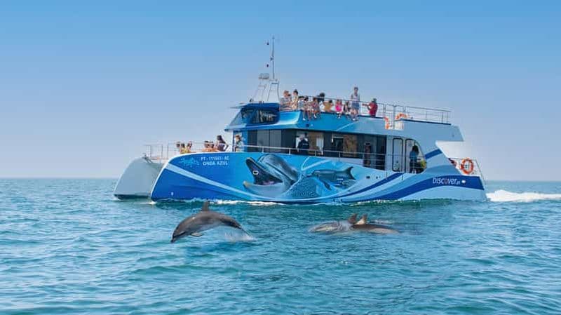 Lagos : Croisière d'une demi-journée pour observer les dauphins et activités nautiques