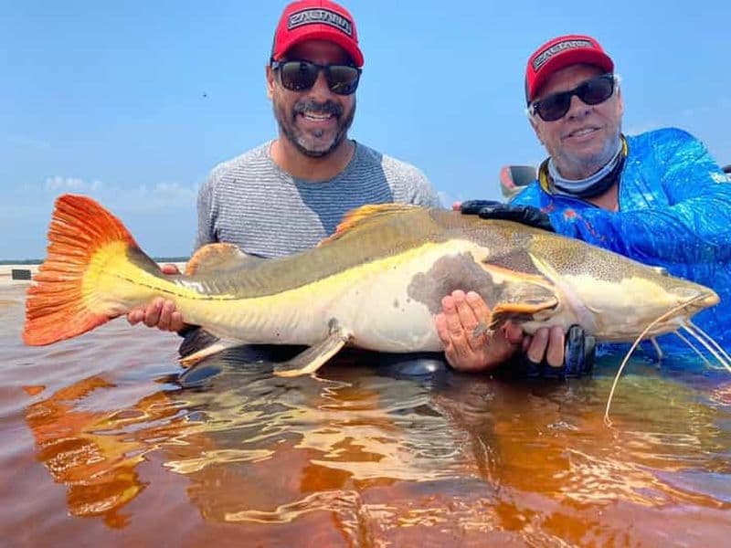 Manaus : Une journée de pêche sur le Rio Negro