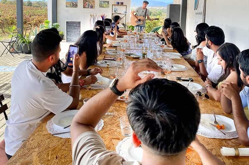 Lagos/Praia da Luz : Visite des vignobles, dégustations, tapas et musique