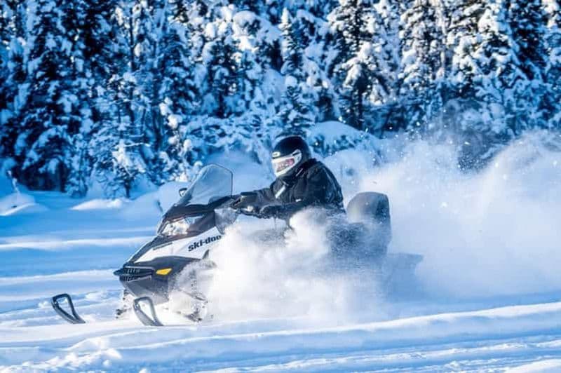 Pôle Nord Alaska : Circuit guidé en motoneige à Fairbanks