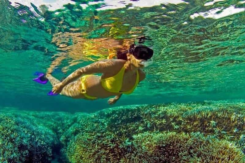 Snorkeling à Pigeon Island Trincomalee