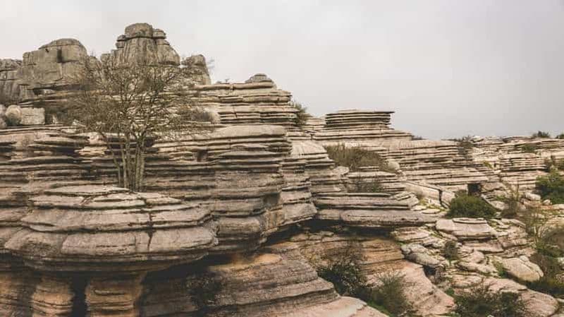 Torcal de Antequera : Parcours Géologique avec Guide Professionnel