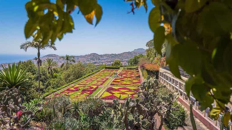 Jardin botanique Tuk Tuk - Île de Madère