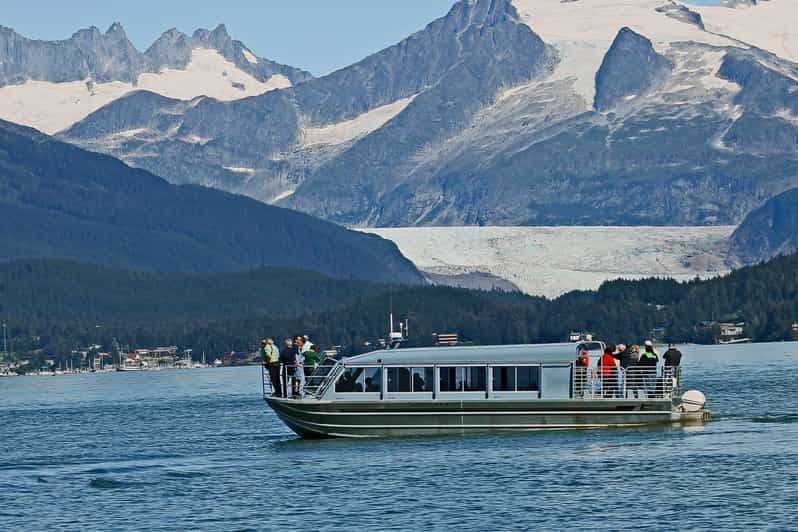 Au départ de Juneau : Croisière observation des baleines avec collations
