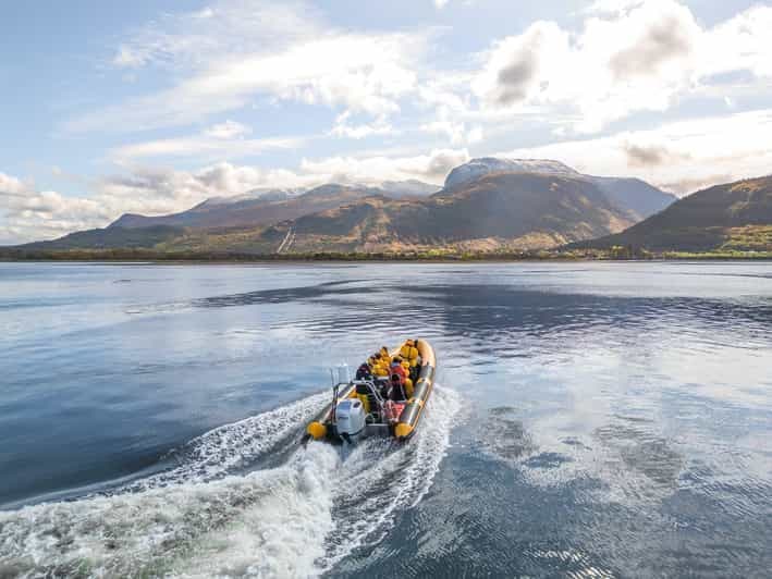 Fort William : 1hr Loch Safari Speedboat Tour