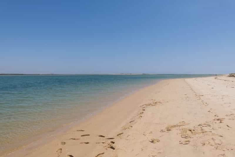 Faro : Location de kayaks dans le parc naturel de Ria Formosa