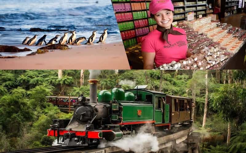 Billet Puffing Billy, défilé des pingouins, cave, chocolaterie