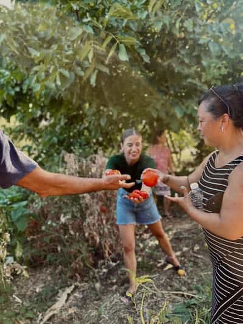 Région de La Canée : Cours de cuisine dans une ferme du village de Stylos