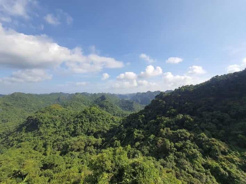 Demi-journée de randonnée dans le parc national de Cat Ba avec un guide