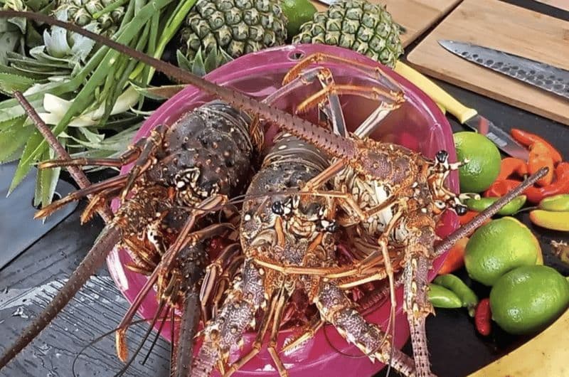Deshaies : Cours de cuisine sur le homard grillé avec plateau-repas