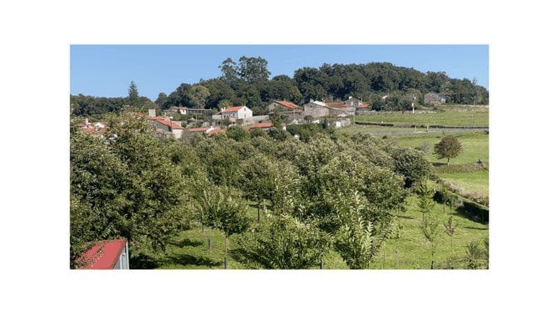 Aventure 4x4 dans la forêt de Châtaigniers, chasse au trésor et Mystic Queimada