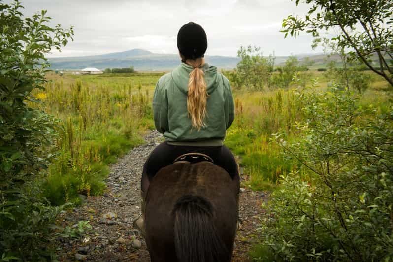Reykjavik : Tour de plongée en apnée et promenade à cheval à Silfra avec photos