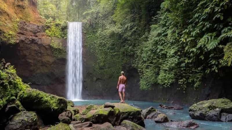 Billet Ubud : Cascades, temple de l'eau et rizières en terrasses visite privée