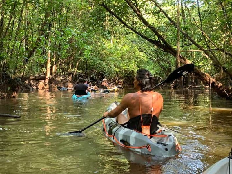 Carbet Le Sourou: kayak, randonnée