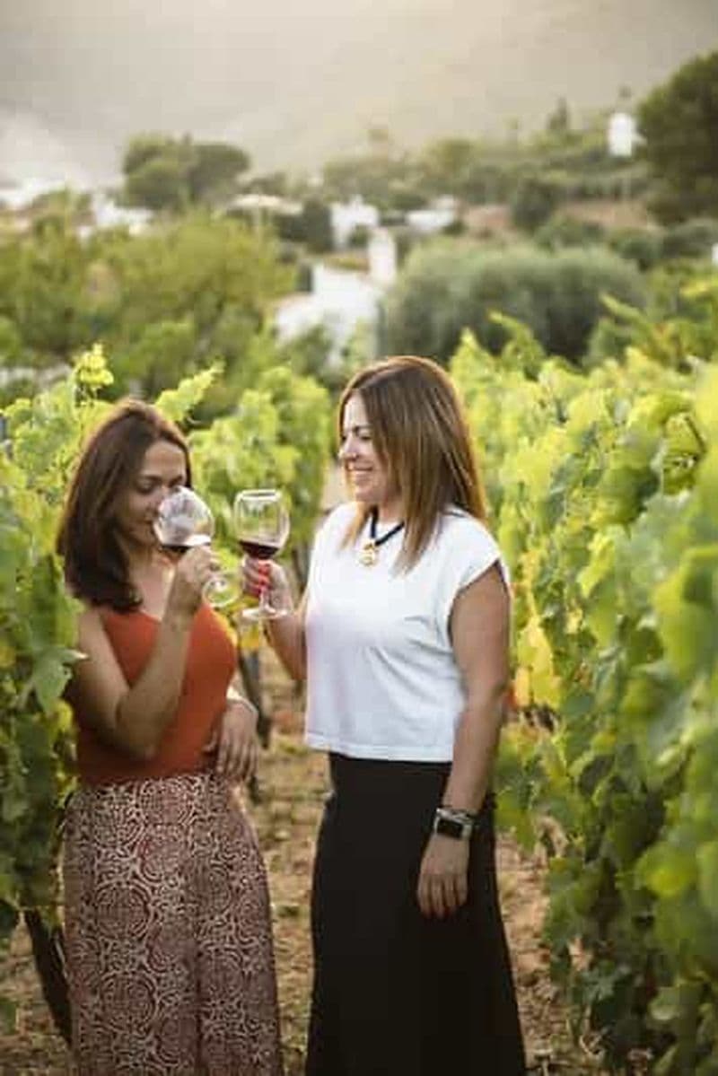 Mijas : dégustation exclusive de 5 vins et 2 huiles d'olive bio