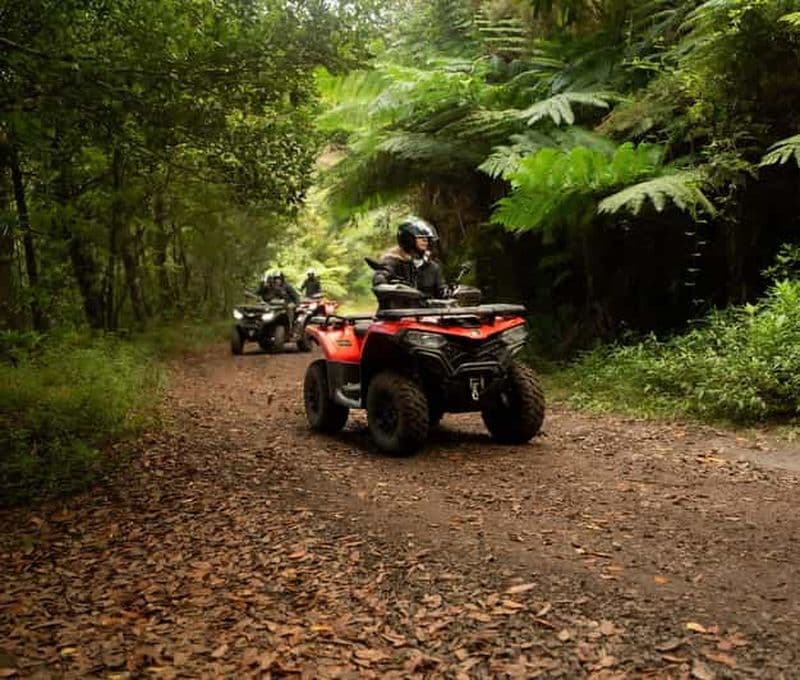 Madère : Aventura Off-Road de ATV ou Quad - Adrenalina