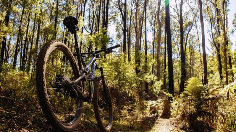Visite guidée à vélo du parc national de Peneda-Gerês